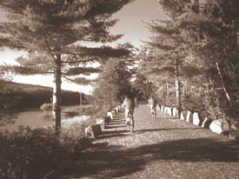 5091_s