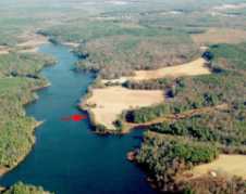 1999 Aerial Of Western Branch Preserve
