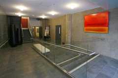 129645_s