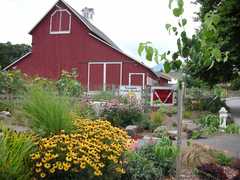 135450_s