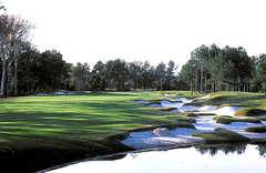 152878_s