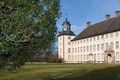 154662_s