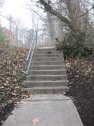 156559_s