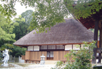164789_l