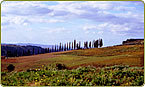 199672_l