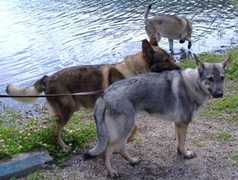 208550_s