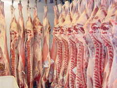 215124_s