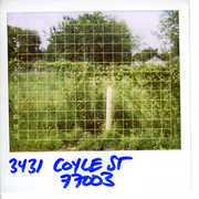 215291_s