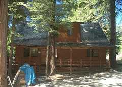 239407_s
