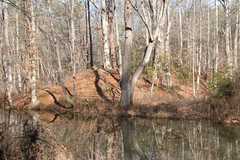 253121_s