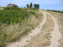 271111_s