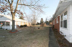 272335_s
