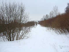 280343_s