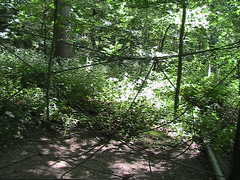 331018_s