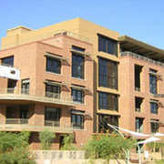 383154_s