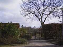105564_s