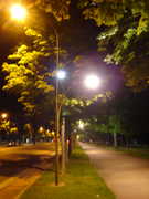 107363_s
