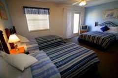 119005_s