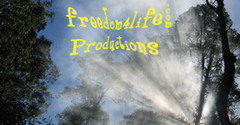 9447